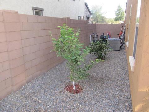 2630 E Gillcrest Rd, Gilbert, AZ 85298 photo 24