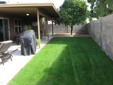 3903 E Corrine Dr, Phoenix, AZ 85032 photo 34