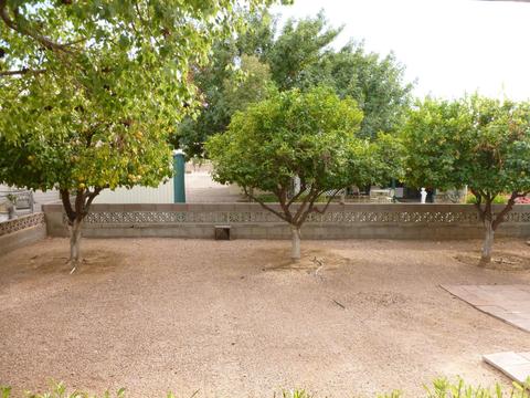6555 E Dodge St, Mesa, AZ 85205 photo 6