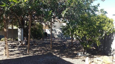 4664 N 77th Ave, Phoenix, AZ 85033 photo 11