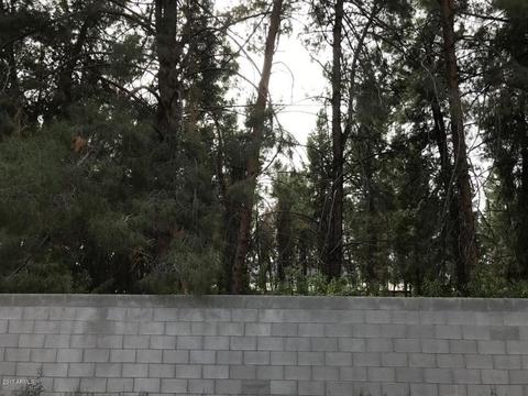 2638 E Alta Vista Rd, Phoenix, AZ 85042 photo 17