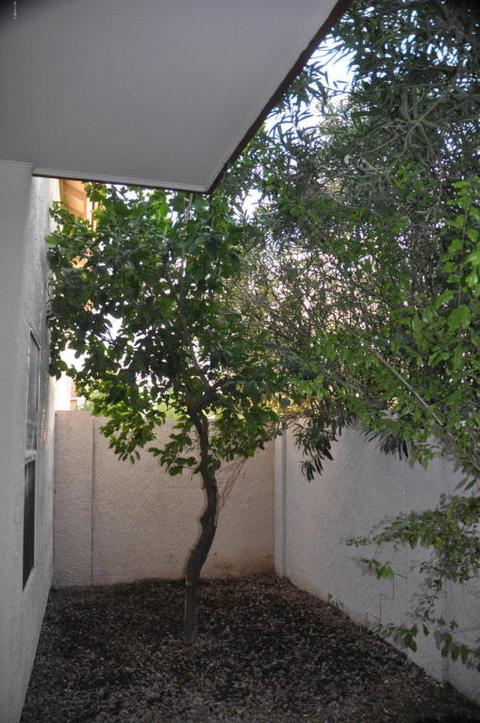 4602 E Angela Dr, Phoenix, AZ 85032 photo 20