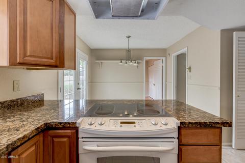 1123 E Halifax St, Mesa, AZ 85203 photo 4