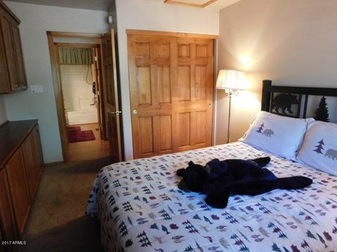 2649 Lodge Loop, Overgaard, AZ 85933 photo 16