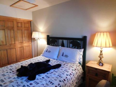 2649 Lodge Loop, Overgaard, AZ 85933 photo 15