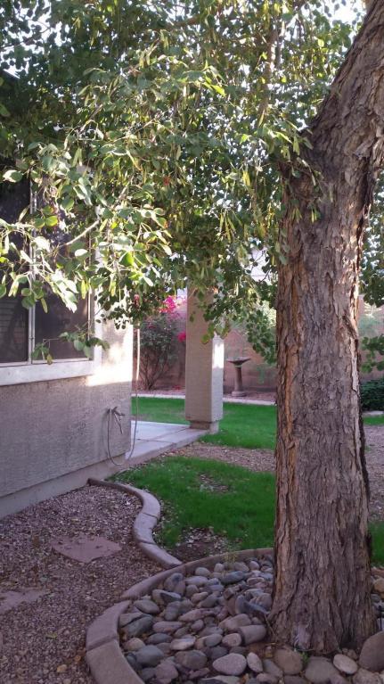 3713 E Washington Ct, Gilbert, AZ 85234 photo 6