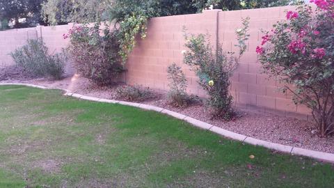 3713 E Washington Ct, Gilbert, AZ 85234 photo 28