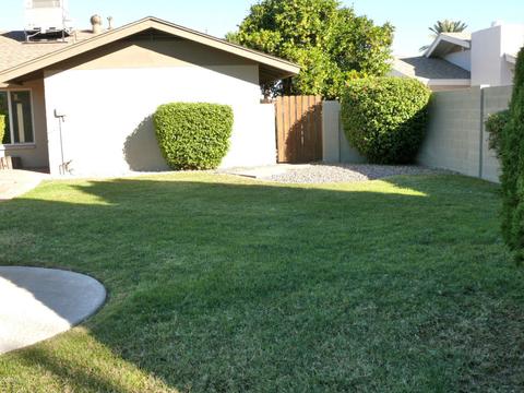 3845 E Cholla St, Phoenix, AZ 85028 photo 46