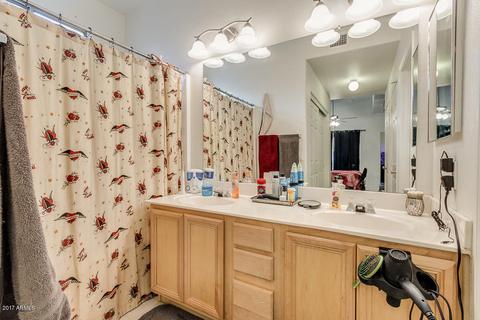8735 E Fox St, Mesa, AZ 85207 photo 19