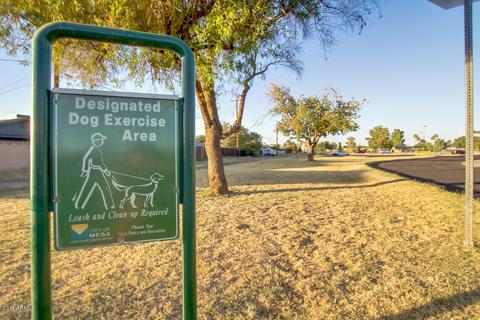 1260 E Millett Ave, Mesa, AZ 85204 photo 32