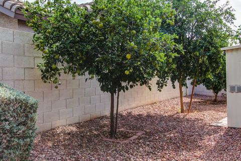 2248 E Stephens Rd, Gilbert, AZ 85296 photo 23