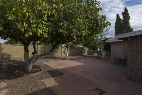 6326 E Adobe Rd, Mesa, AZ 85205 photo 4