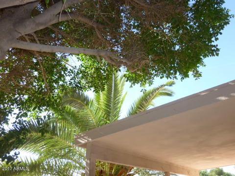 5053 E Diamond Ave, Mesa, AZ 85206 photo 65