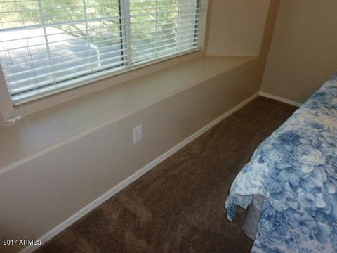 5053 E Diamond Ave, Mesa, AZ 85206 photo 46