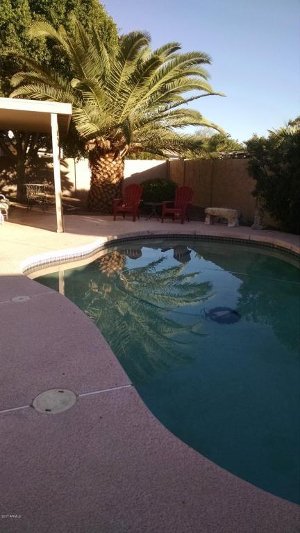5053 E Diamond Ave, Mesa, AZ 85206 photo 56