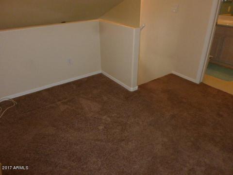 5053 E Diamond Ave, Mesa, AZ 85206 photo 43
