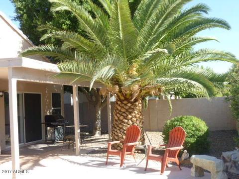 5053 E Diamond Ave, Mesa, AZ 85206 photo 54