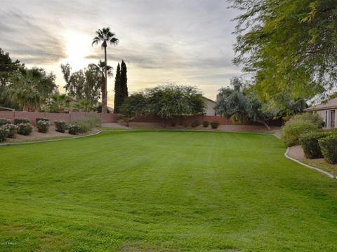 3109 E Kristal Way, Phoenix, AZ 85050 photo 3