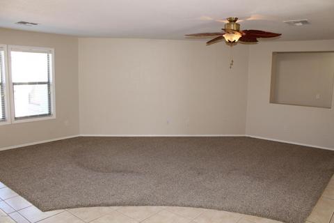 11456 E Quade Ave, Mesa, AZ 85212 photo 4