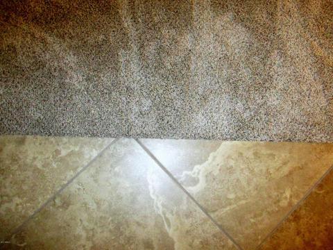 10944 E Obispo Ave, Mesa, AZ 85212 photo 9