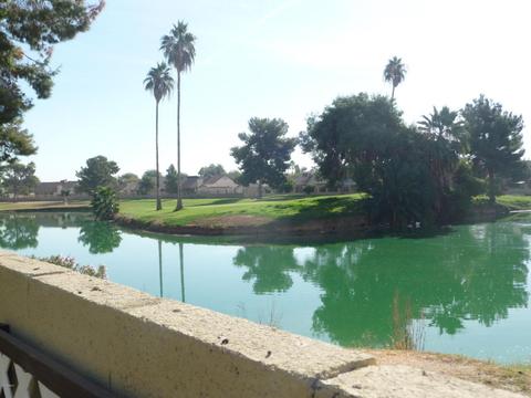 4201 N 101 Ave, Phoenix, AZ 85037 photo 18