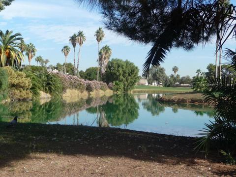 4201 N 101 Ave, Phoenix, AZ 85037 photo 5
