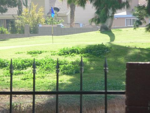 4201 N 101 Ave, Phoenix, AZ 85037 photo 17