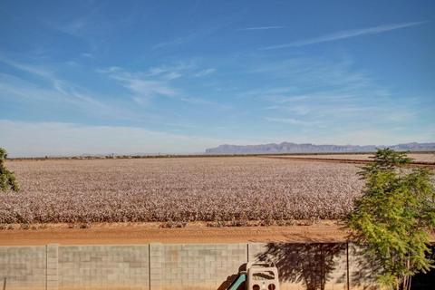10694 E Cliffrose Ln, Florence, AZ 85132 photo 39