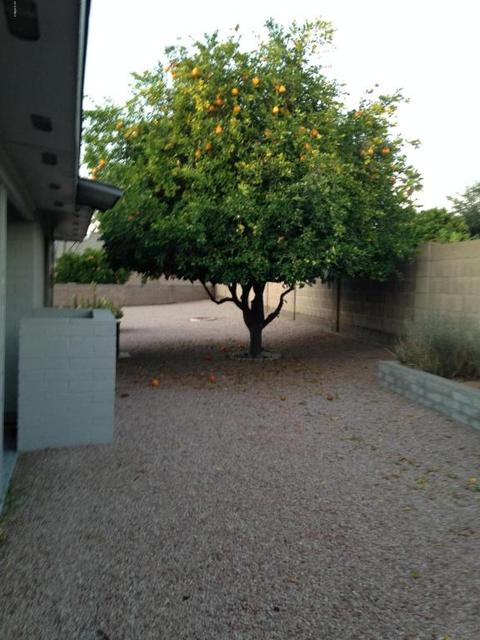 2115 S Gladiolus --, Mesa, AZ 85209 photo 8