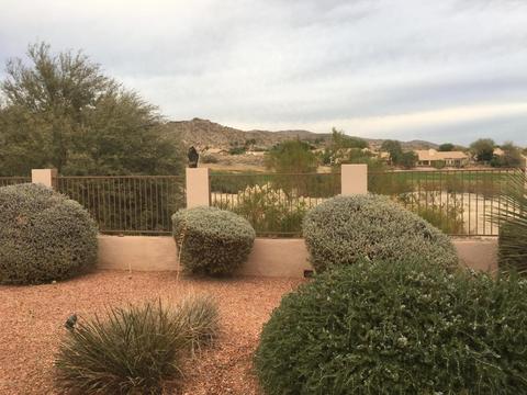 1710 E Silverwood Dr, Phoenix, AZ 85048 photo 7
