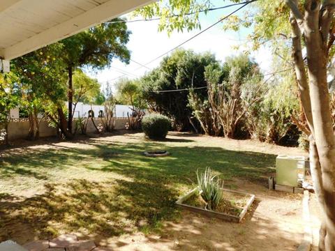 209 W Ruth Ave, Phoenix, AZ 85021 photo 16