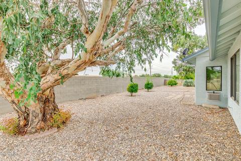 1166 S Firefly Ave, Mesa, AZ 85208 photo 22