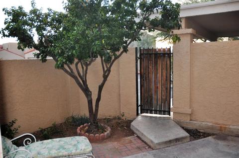 5818 N 8th Pl, Phoenix, AZ 85014 photo 33