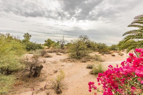 4375 E Lariat Ln, Phoenix, AZ 85050 photo 28