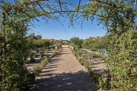 5029 E Gary St, Mesa, AZ 85205 photo 49