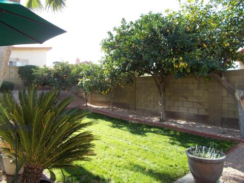 1805 E Hearn Rd, Phoenix, AZ 85022 photo 54