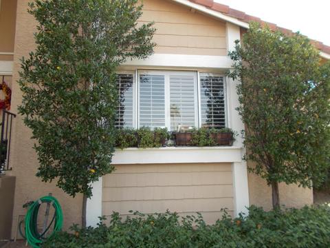 1805 E Hearn Rd, Phoenix, AZ 85022 photo 8