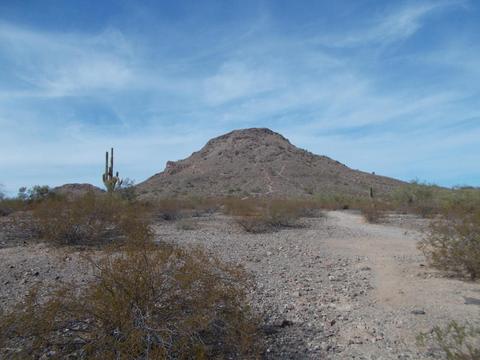 1805 E Hearn Rd, Phoenix, AZ 85022 photo 69