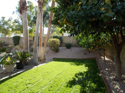 1805 E Hearn Rd, Phoenix, AZ 85022 photo 55
