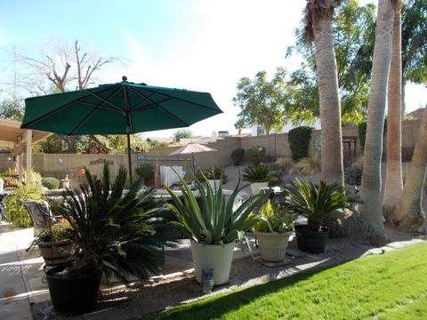 1805 E Hearn Rd, Phoenix, AZ 85022 photo 56