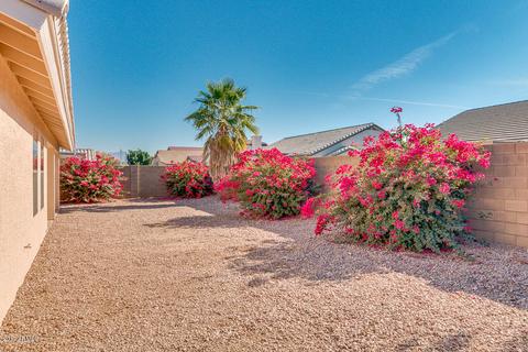 11443 E Dover St, Mesa, AZ 85207 photo 43