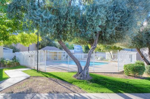 3545 E Le Marche Ave, Phoenix, AZ 85032 photo 5