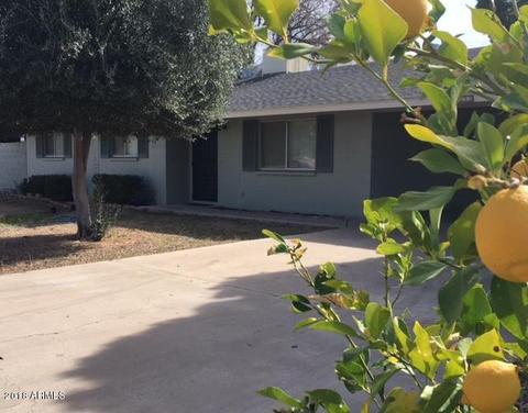 1233 E 8th St, Mesa, AZ 85203 photo 23