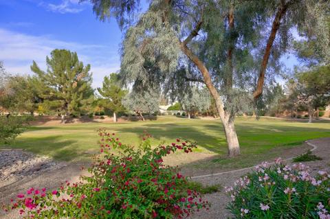 536 E Constitution Dr, Gilbert, AZ 85296 photo 23