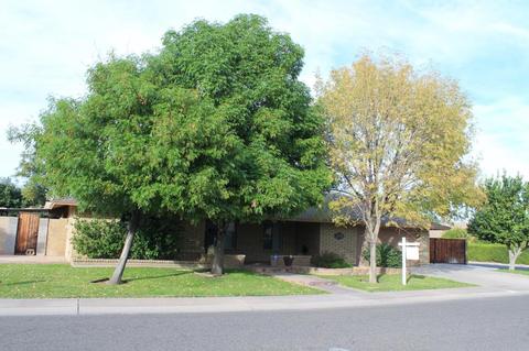 316 E Saint John Rd, Phoenix, AZ 85022 photo 34