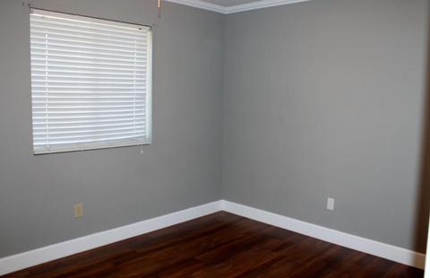 316 E Saint John Rd, Phoenix, AZ 85022 photo 23
