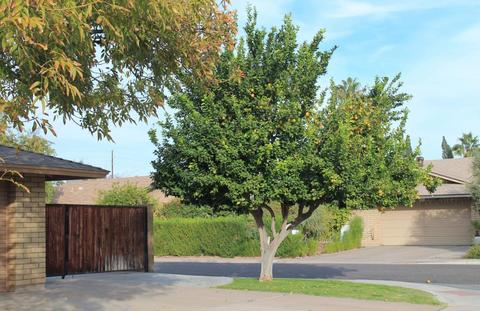 316 E Saint John Rd, Phoenix, AZ 85022 photo 35