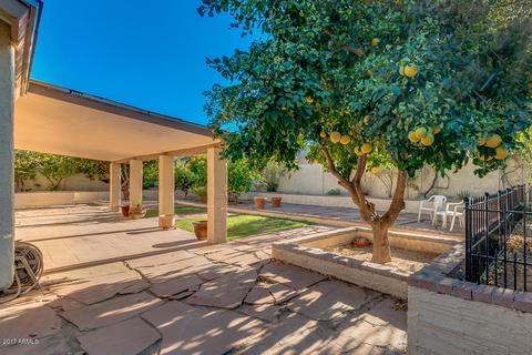 4865 E Halifax St, Mesa, AZ 85205 photo 31