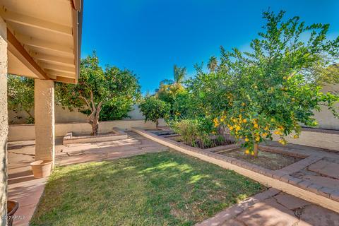 4865 E Halifax St, Mesa, AZ 85205 photo 28
