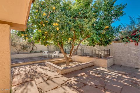 4865 E Halifax St, Mesa, AZ 85205 photo 29